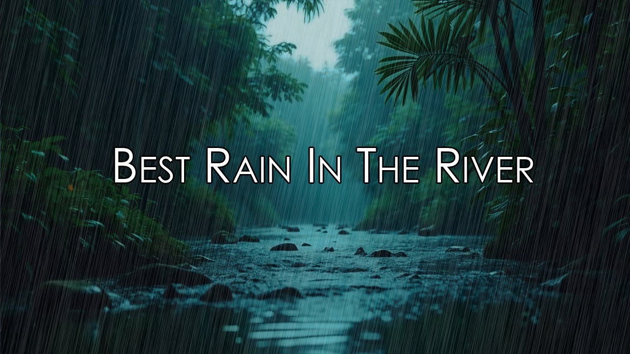 ⛈ Real Rain On River Sounds For Sleeping 😴 Green Forest River Flowing ...