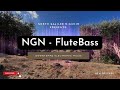 Ngn  flutebass live mix