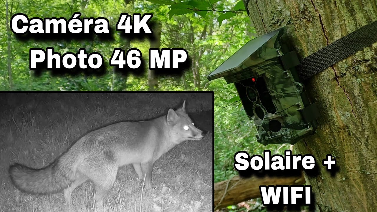 SUPER IMAGES!! Caméra CEYOMUR CY95