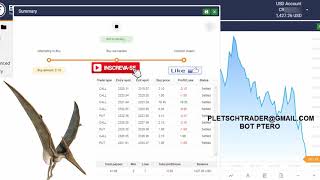 BOT BINARY PTERO EM BANCA BAIXA MOSTRANDO QUEM É QUE MANDA!