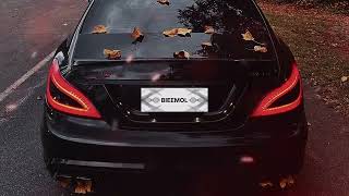 Daşlı Gala - Bieemol (Speed Up / Car)