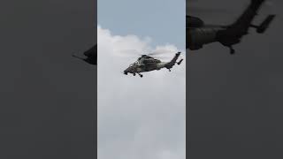 Paris Air Show 2023 - Tiger flying display