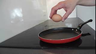 2019-04-09 Eggpisode 0091