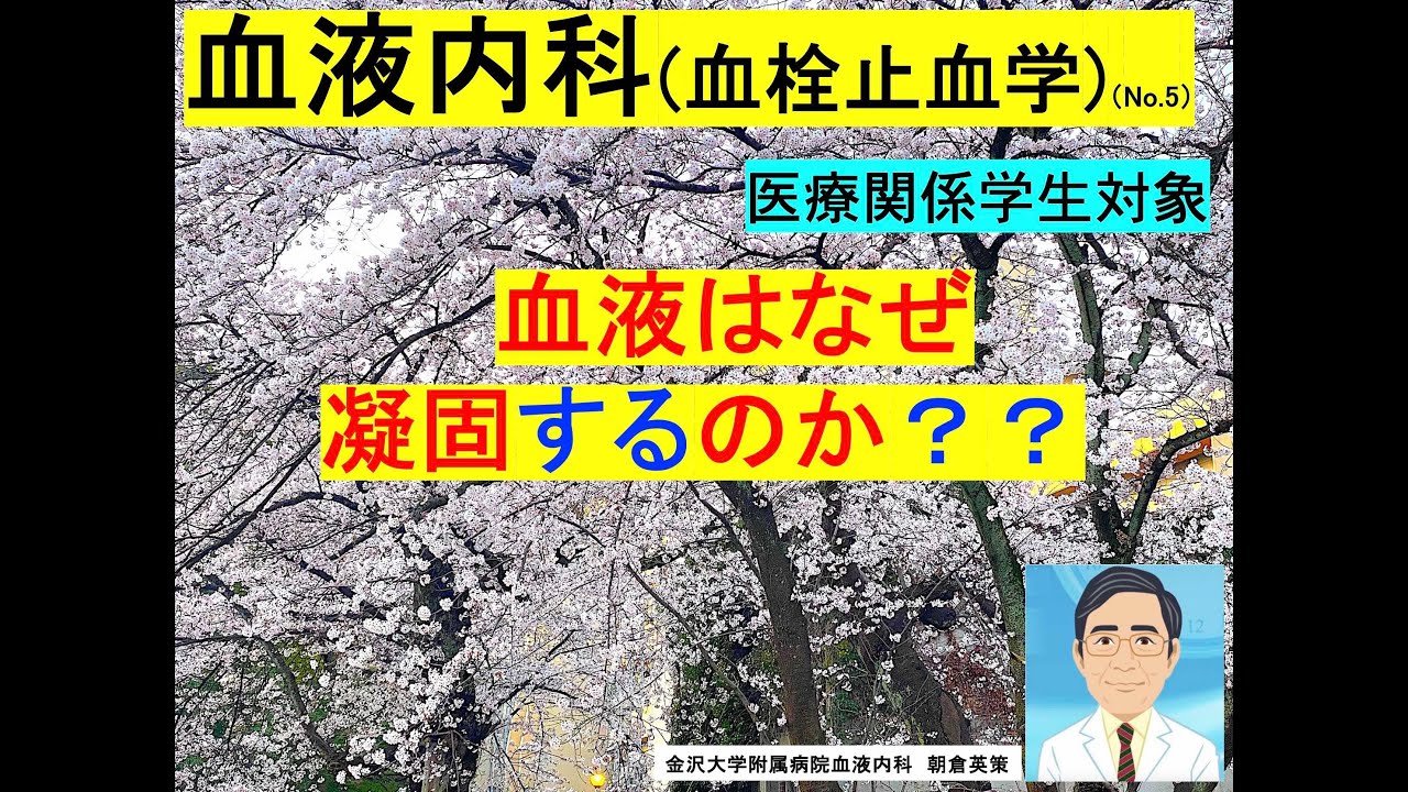 【血液内科（血栓止血学）5】血液はなぜ凝固するのか？
