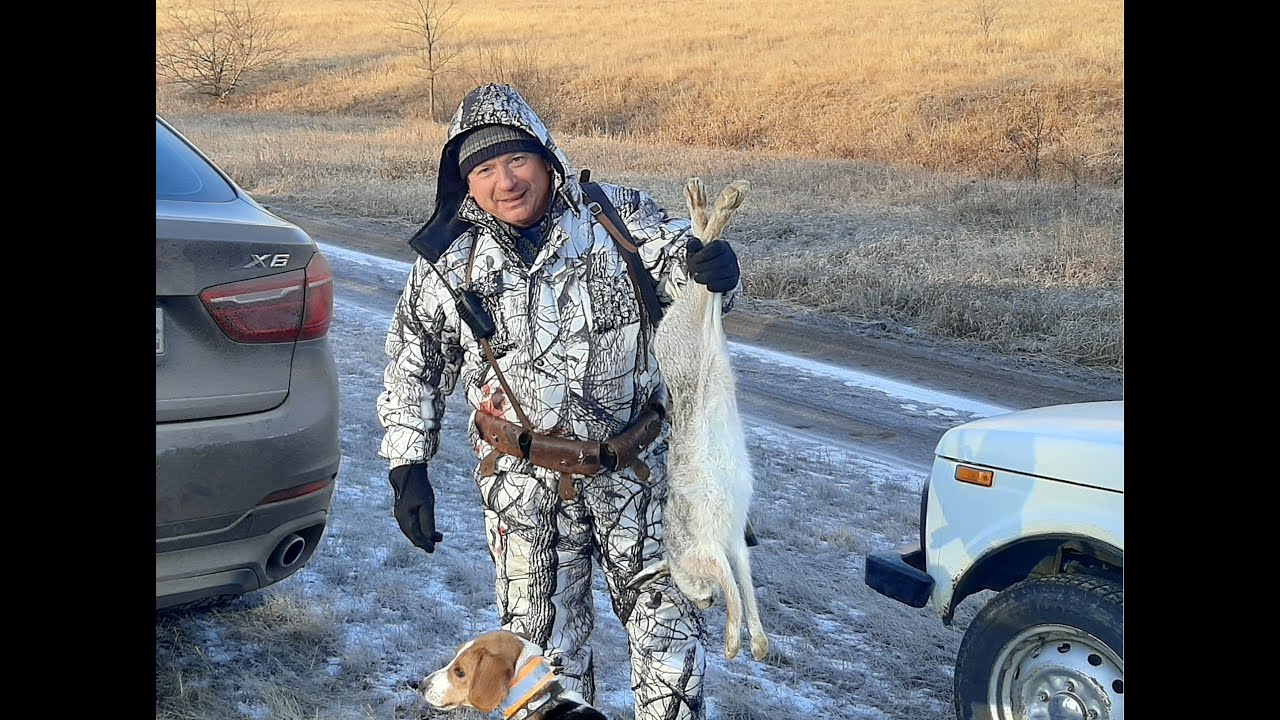 охота на зайца лучшие выстрелы