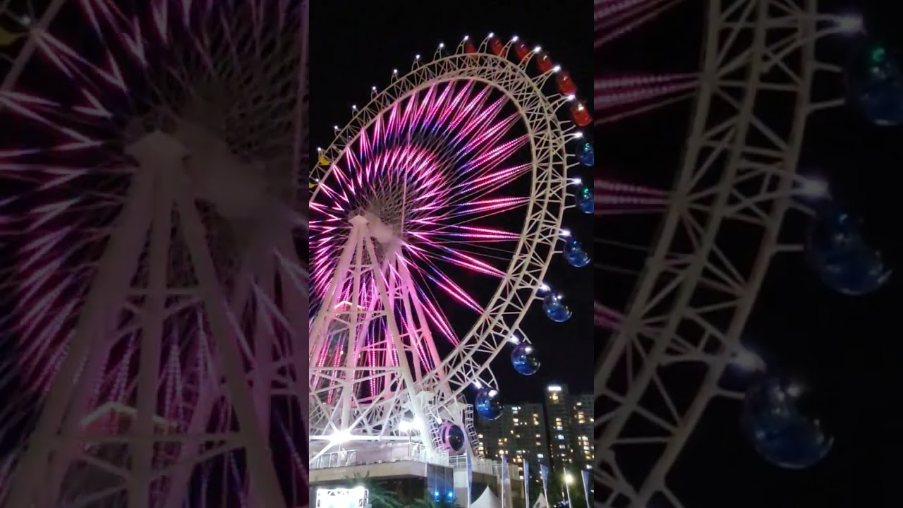 속초아이🎡 #속초 #속초해수욕장 #속초여행 #속초아이 #shorts