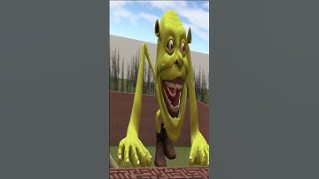 Shin Shrek Tapes in maze #garrysmod #gmod #nextbots #sonic #shrek