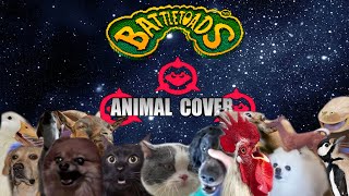 Battletoads  Ragnarok's canyon (Animal Cover)