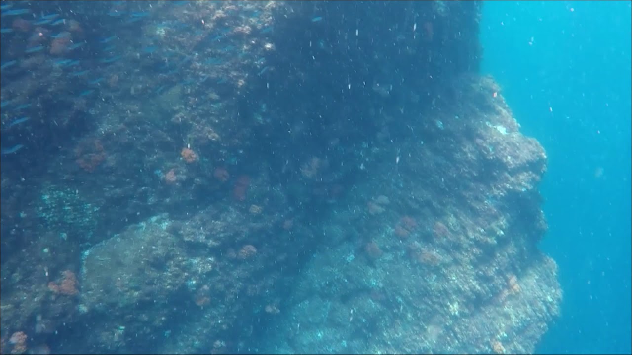 沖の島/ツブラバエ(鵜来島領域) 海の中 2018.08.18 YouTube