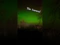 The #auroraborealis !! #northernlights #pretty #nature #sky #naturephotography
