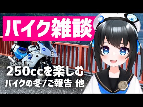 【雑談】冬のバイクどうする？/250ccの良さを語ろう!/バイク雑談＆ご報告!【Vtuber】