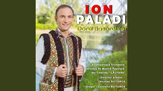 Video thumbnail of "Ion Paladi - Bine-I Sade Mesei Mele"