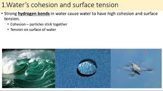 UCI ESS 3 lecture 3