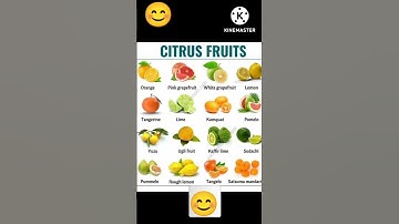 Citrus Fruits name with picture and spelling @Baby School