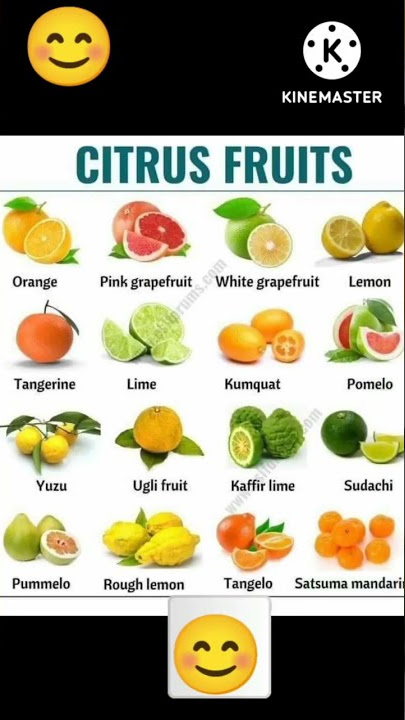 Nama Buah Jeruk beserta gambar dan ejaannya @Baby School