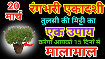 20 मार्च रंगभरी एकादशी के दिन जरूर करे तुलसी की मिट्टी का ये उपाय बनोगे करोड़पति pradeep mishra//