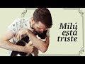 Cómo superar la DEPRESIÓN en GATOS 😿| ¿Por qué está Milú tan decaído?