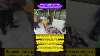 Apakah Ini Namanya Tragedi Kutang?