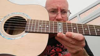 Harley Benton Ds 10 Mini