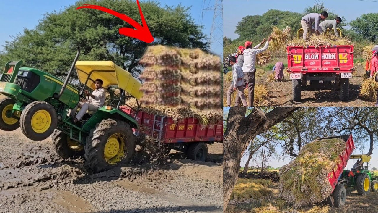 Garlic Tractor Stuck 2ith Heavy Load ट्रॉली। John Deere 5050D Garlic Load