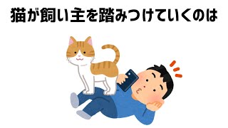 猫の不思議な行動の雑学 #雑学 #猫 #1分間