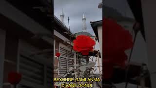 BEYHUDE GAMLANMA DİVANE GÖNÜL Resimi