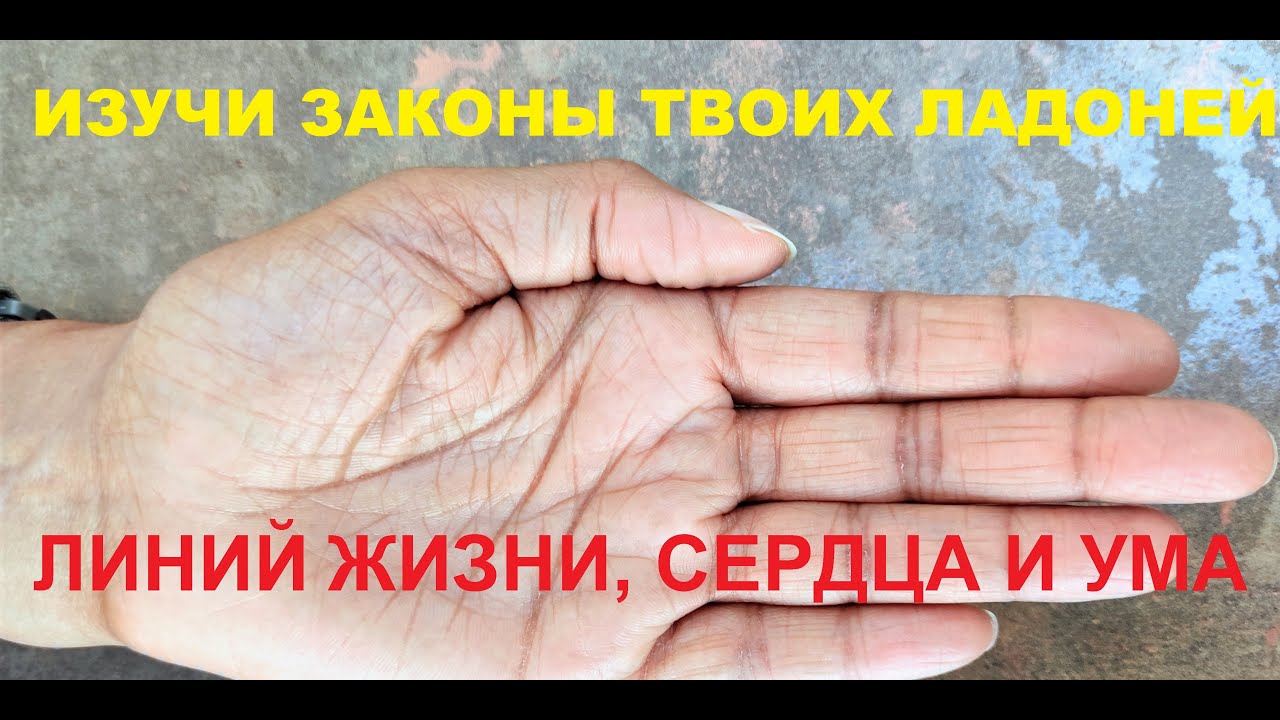 эффективность су джок терапии. су джок цветотерапия. су джок акупунктура меридианы. су джок цветотерапия. су джок энергетические точки.