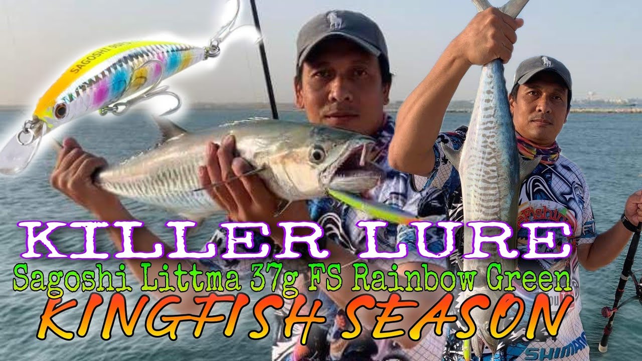 LURE KINGFISH KILLER SAGOSHI LITTMA 37g FS green Rainbow No.1 for King