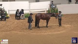 2021 Quarter Horse Congress Amateur Select Showmanship Karen Jorgenson Showing Mechanically Inclined