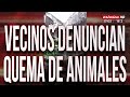 Escándalo en Zoo de Luján: denuncian quema de animales