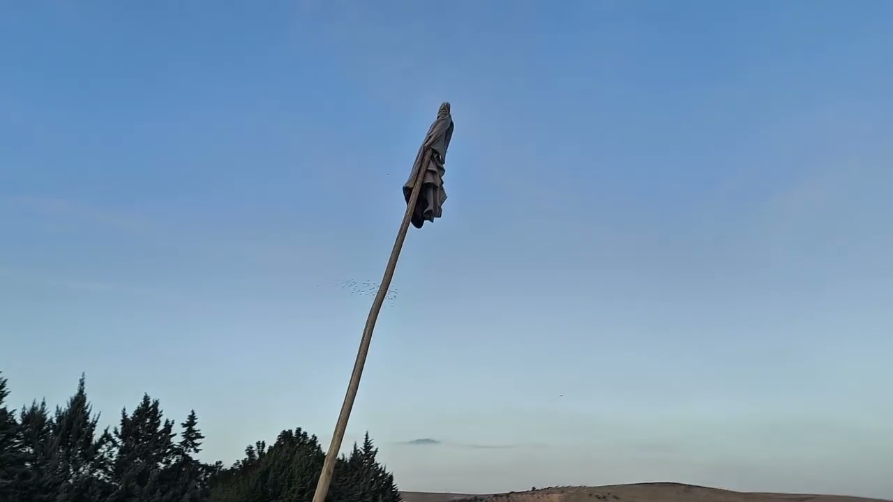 Kuşumuzu Karışmadan Çektik ( Son Gün 2 eksik Sabah geldi )