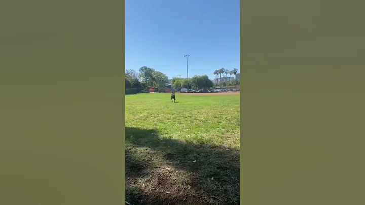 Lean Mean Fetch Machine #shorts