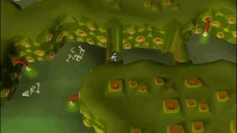 Runescape Power training combat #4