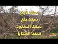تقسيم الشتاء عند أجدادنا العرب القدماء