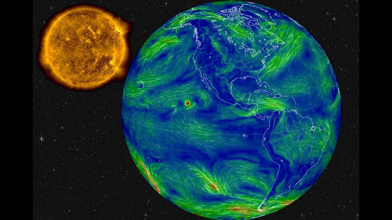 Matthew Shipley Live Stream 4K