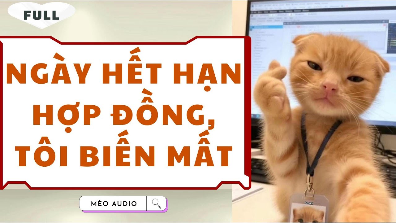 [Truyện Audio - Full] Ngày Hết Hạn Hợp Đồng, Tôi Biến Mất