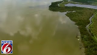 ‘The future is bright:’ Lake Apopka rebounding from decades of pollution