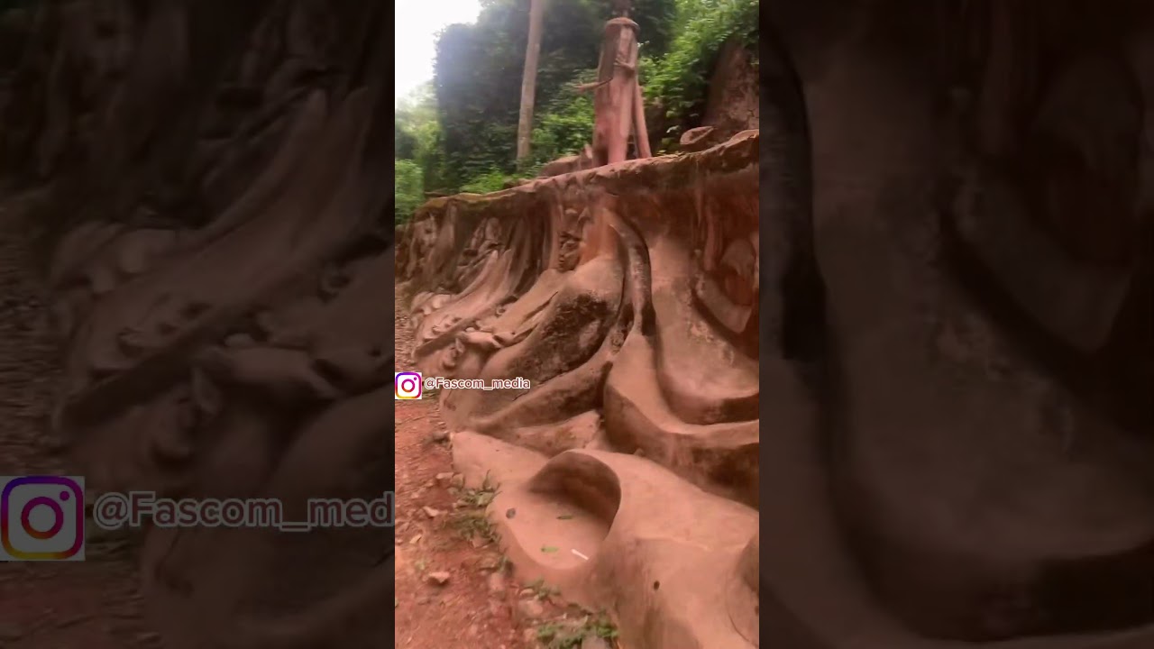 Discover the hidden beauty of Osun river shrine in Osogbo 🌿🌊✨ (PART 1)