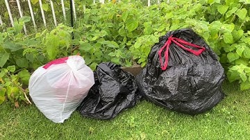 Tiny Tidy Tuesday￼/Tidy Up Garden/Tidy Up Closet
