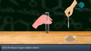 Test food for Starch Protein Fat & Sugar Science Animation