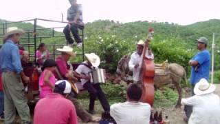 Las Mañanitas en Nahuituxco