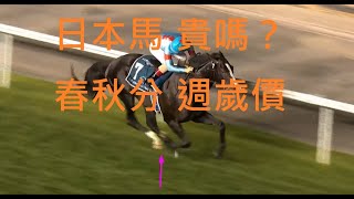 春秋分 週歲價  👀馬馬為何 碌眼白【馬壇八卦+知多D】