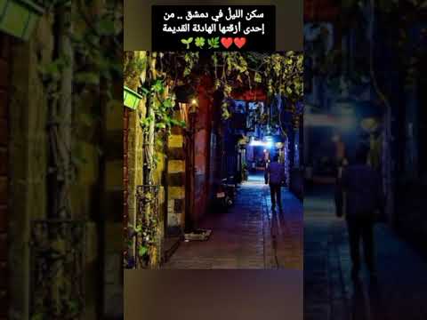 سكن الليل في دمشق من إحدى أزقتها الهادئة القديمة