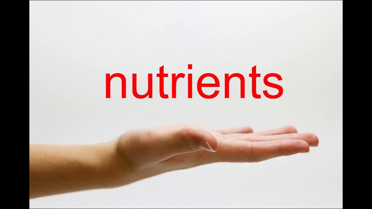 How to Pronounce nutrients  American English  YouTube