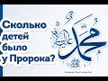 Cколько ДЕТЕЙ было у пророка Мухаммада?