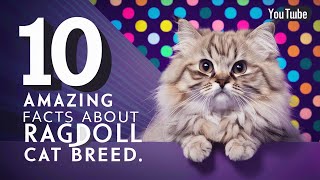 10 Amazing facts about Ragdoll cat breed by The Cat Connoisseur's Channel 26 views 1 month ago 3 minutes, 21 seconds