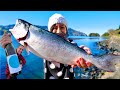 New Zealand wine that fights slavery + FRESH SALMON off the boat | New Zealand food tour