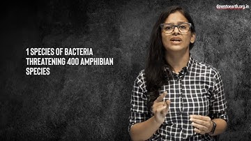 What a huge mess? Analysing Global Assessment Report on Biodiversity and Ecosystem Services