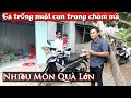 Mua Xe Vật Dụng Cho Gà Trống Nuôi Con Trong Chòm Mã - Thuận Phạm official