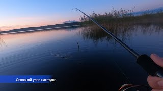 Рыбалка в Лен Области, озеро Суходольское  #Рыбалка #ленобласть #суходольское